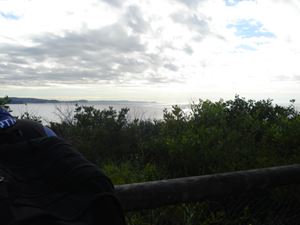 DSC03881