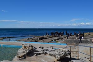 2018 Y10 dee why103