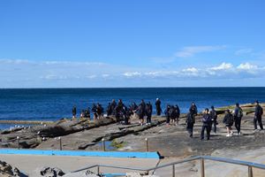 2018 Y10 dee why105
