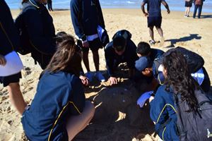 2018 Y10 dee why14