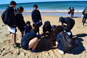 2018 Y10 dee why18