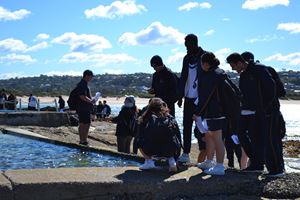 2018 Y10 dee why88