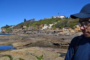 2018 Y10 dee why99