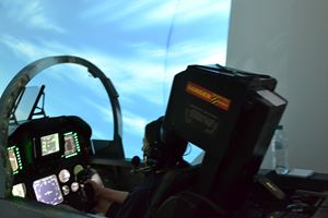 Air Force Incursion 2019 43