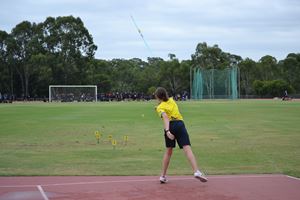 ath0081