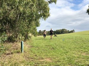 IMG_3223