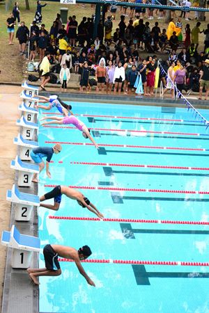 Swimming Carnival 2019 122