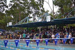 Swimming Carnival 2019 183
