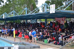 Swimming Carnival 2019 194