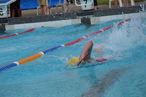 Swimming Carnival 2019 196