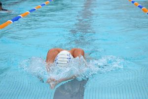 Swimming Carnival 2019 85
