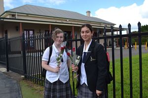 Rose Day 2020 15