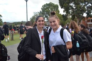 Rose Day 2020 8