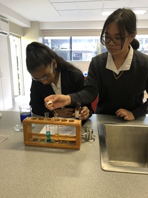 science week 2020 11