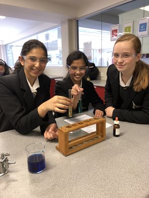 science week 2020 12