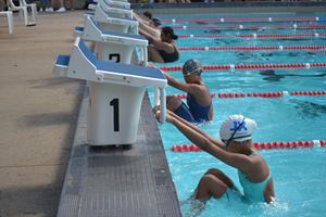 Swimming Carnival 2021288