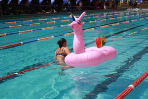 Swimming Carnival 2021303
