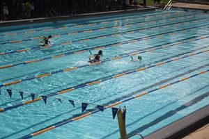 Swimming Carnival 2021501