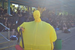 Swimming Carnival 202151