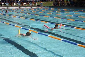 Swimming Carnival 2021513