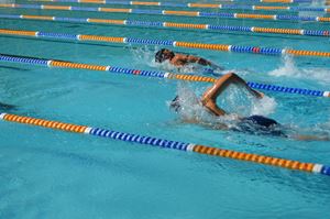 Swimming Carnival 2021616