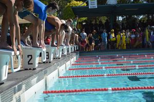 Swimming Carnival 2021631