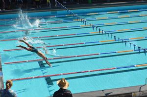 Swimming Carnival 2021632