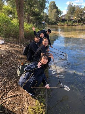 11-biology-15