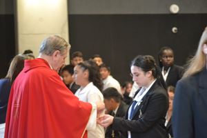 mass-38