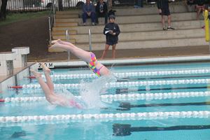 IMG 2519