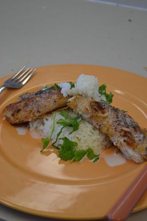 DSC 0017