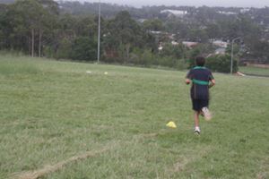 IMG 4252