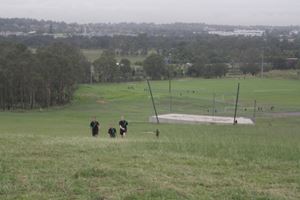 IMG 4259