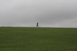 IMG 4278