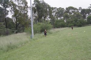 IMG 4283