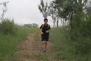 IMG 4299