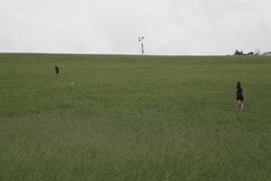 IMG 4332