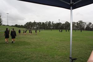 IMG 4368