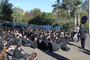 IMG 7690