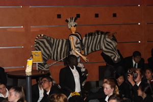 IMG 7731