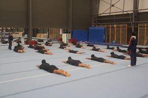 IMG 4964