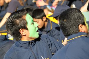 IMG 7805
