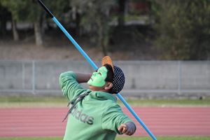 IMG 7847