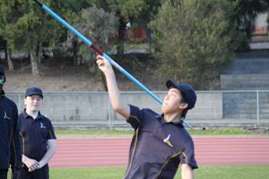 IMG 7850