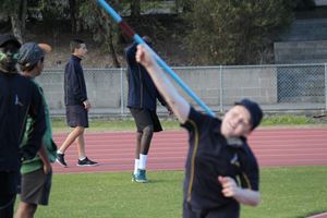 IMG 7853