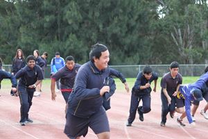 IMG 7951