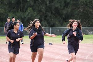 IMG 7954