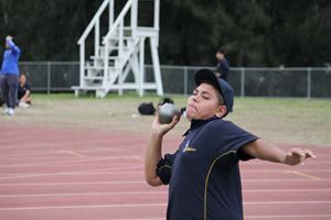 IMG 8018