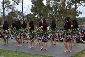 DSC 0100