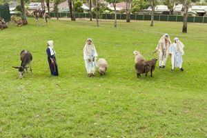 St Agnes Bethlehem Play 4 12 14  151